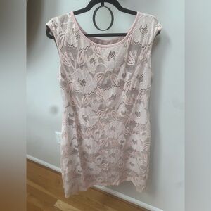 Blush Pink Lined Sheath Dress